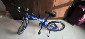 Kid Bicycle 16"