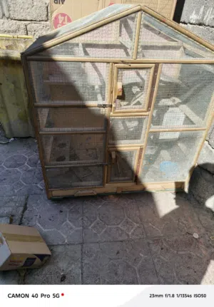 قفص الطيور اليفه