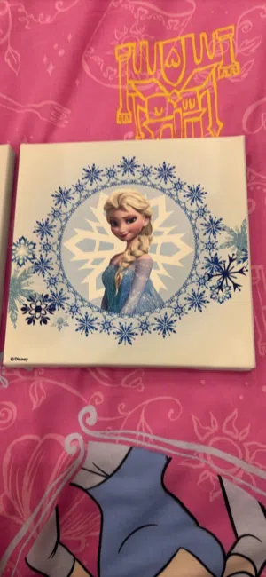 Canvas frozen 3 frame