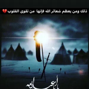 Ali Mohamed