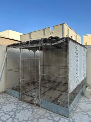 قفص للبيع مستخدم شوف الوصف