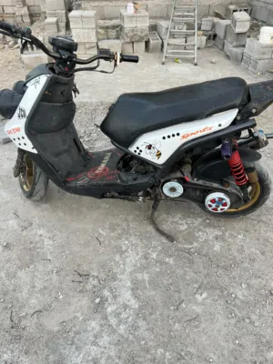 سكنس جبلي يامها للبيع