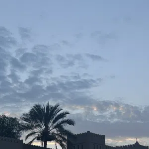 Alhosni