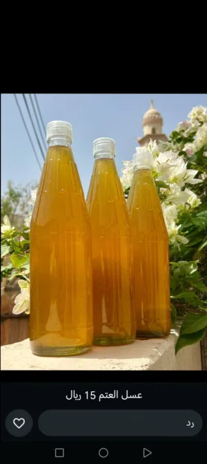 عسل تصفيه قفص وعتم ما شاء الله نضيف
