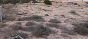 أرض للبيـــــع
