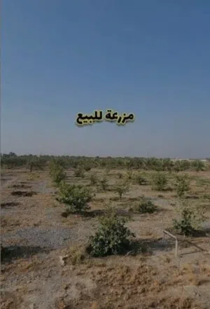 Farm Land for Sale in Al Ain Other
