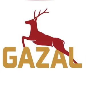 مركز عماد للأجهزة الكهربائية
