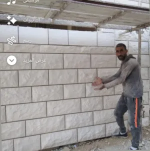 محمد صبري طموني 