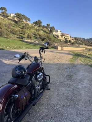 سبوستر سوبر لو 883