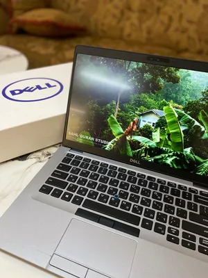 Dell . Windows . 14" . New0