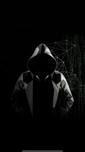كورسات امن سيبراني المبتدئين فما فوق