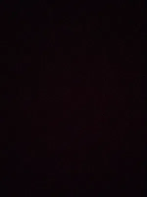 فرس عربيه مصريه بيور