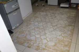 light beige.white area rug