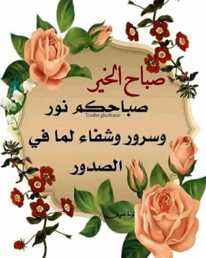 بيع شركات جاهزة جميع الأنشطة التجارية و الصناعية