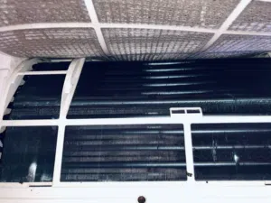 قطعه داخليه شرط بدون ليك طنين