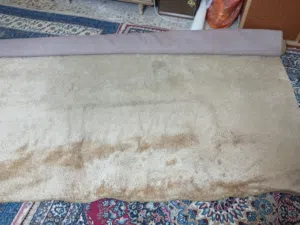 سجاد لون بيج مميز