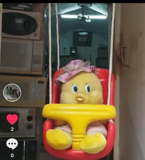 Toys . Used4