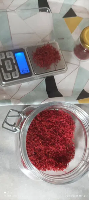 زعفران مؤابي بري إنتاج مزرعتنا للبيع