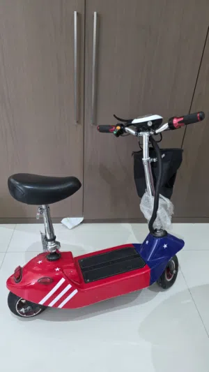 Electric bike