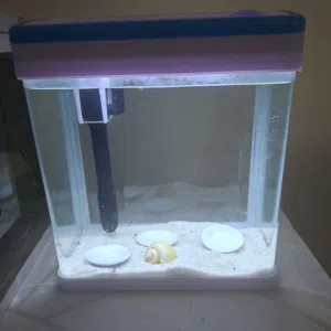 small tank for sale