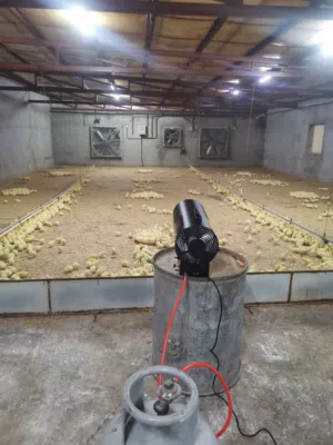 دفايات للحضئر