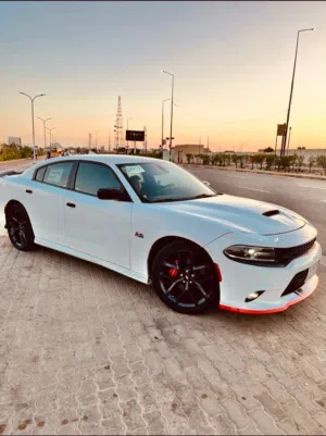 جارجر GT مديل 2019