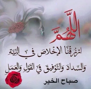 وليد 