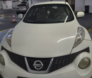 Nissan Juke 2012 model