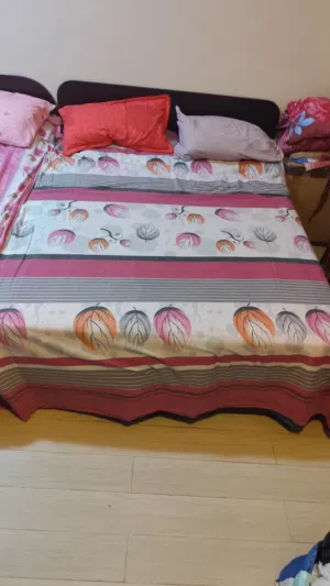 2 person queen size bed + mattress combo