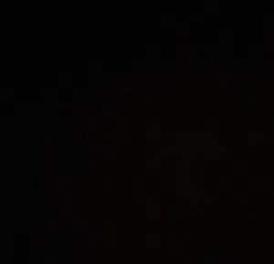 أبو خضر الشوبكي 