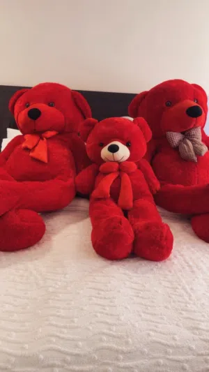 Red Teddy bears دباديب تيدي الكبيره والصغيره