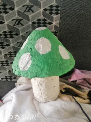 فطر زينه حجيم متوسط