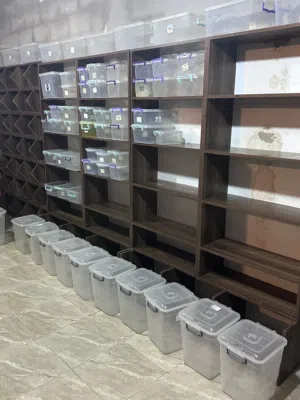 “للبيع ديكور محل عطرية كامل مع رفوف وصناديق تخزين - جاهز للعمل