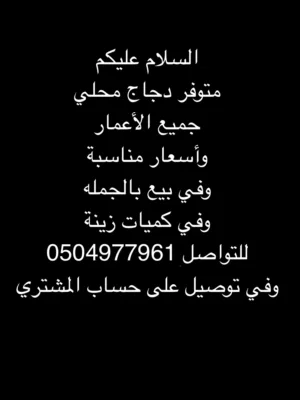 دجاج للبيع