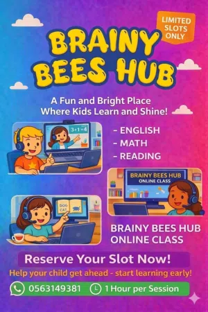 BRAINY BEES HUB