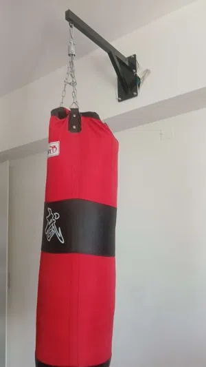 Boxing Bag with mount and chains (negotiable)