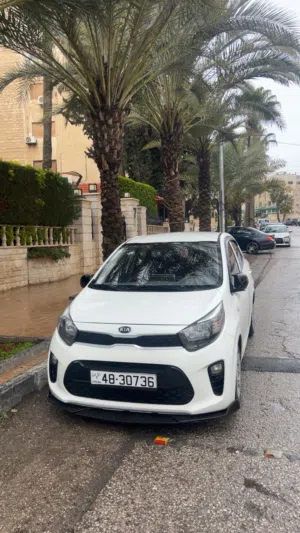 مورنينج 2018