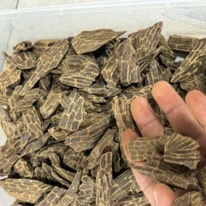 نسيم العود للعطور 