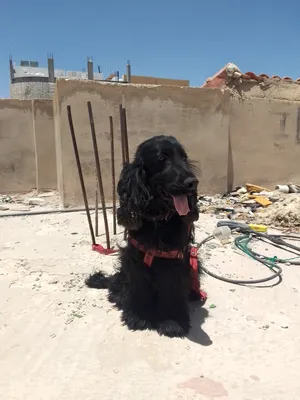 ‏أخرى‏3