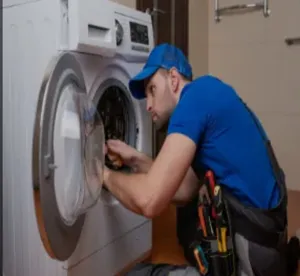 Appliances Repair Services . Refrigerators - Freezers0