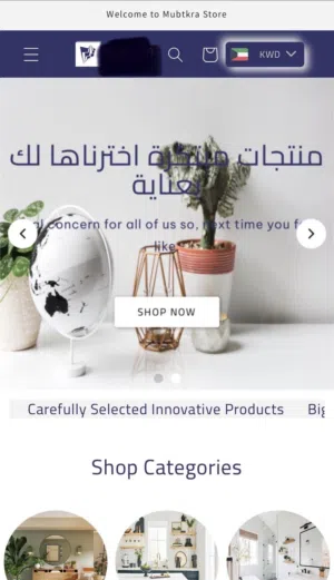 متجر إلكتروني