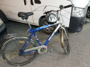 Phillips 26 MTB 2023