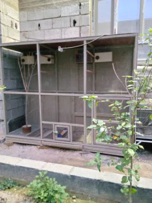 قفص معه زوجبن غندوة