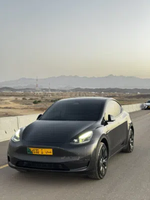 Used Tesla Model Y in Muscat