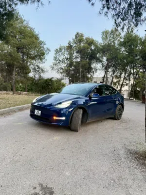 Used Tesla Model Y in Amman