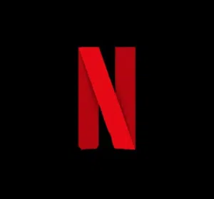 Netflix Accounts and Characters for Sale in Muscat