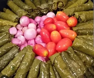 ‏طبخات جاهزة	‏0