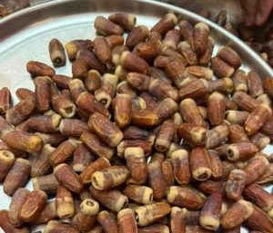 تمر نغال جريجرو محقب
