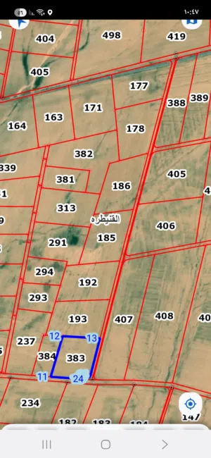 Farm Land for Sale in Amman Al-Quneitirah