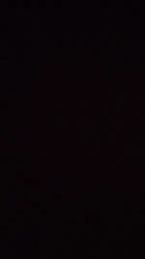 محتاج كلب جيرمن جرو بسعر 80 او 75